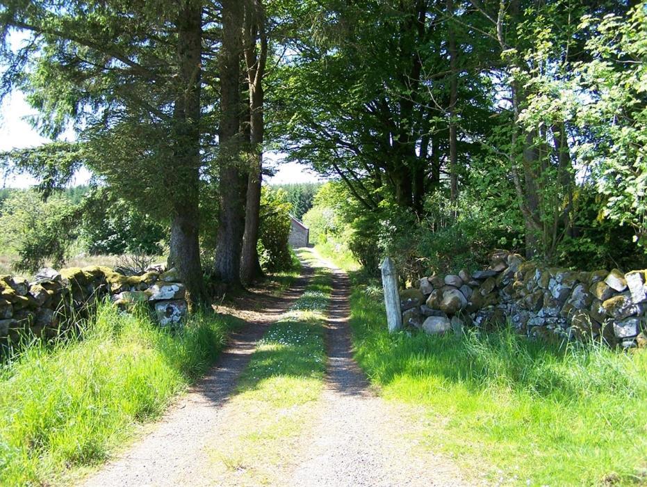 Ochiltree Cottage Newton Stewart Bagian luar foto